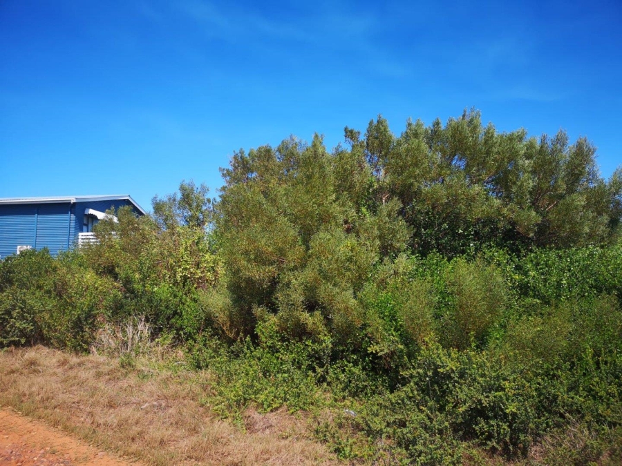 0 Bedroom Property for Sale in Paradise Beach Eastern Cape